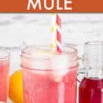 HIBISCUS MOSCOW MULE