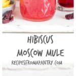 Treat yourself to this Hibiscus Moscow Mule recipe | Recipes From A Pantry
