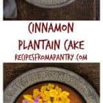 Cinnamon Plantain Cake | Recipes From A Pantry