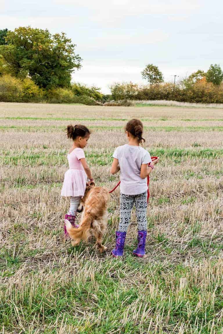 Children playing with the dog - recipesfromaapantry.com