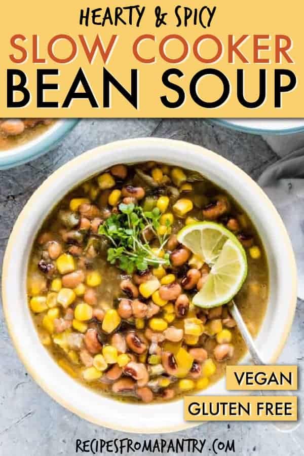 SPICY SLOW COOKER BEAN SOUP