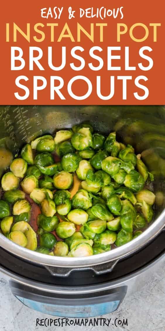 INSTANT POT BRUSSELS SPROUTS