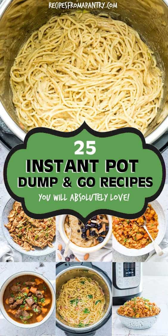 Instant pot dump and start recipes