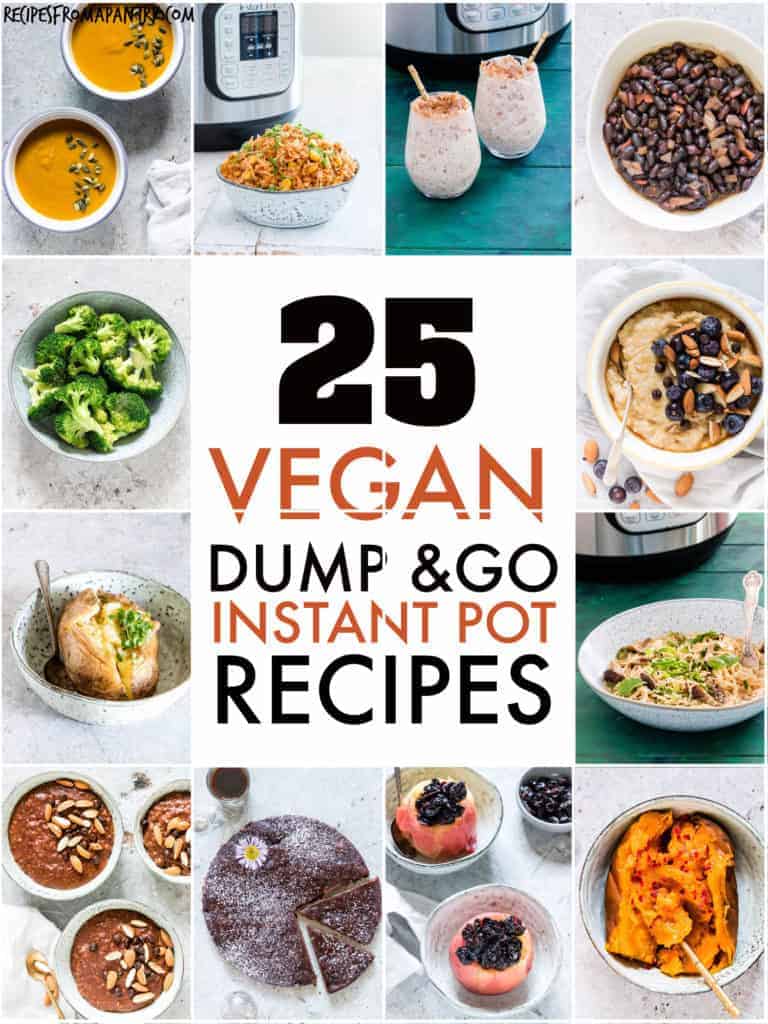 Vegan instant pot dump recipes