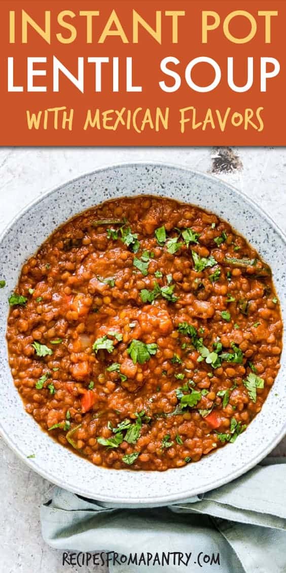 instant pot mexican lentil soup