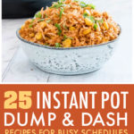 This is a pinterest pin linking to the Instant Pot dump and dash recipes page.