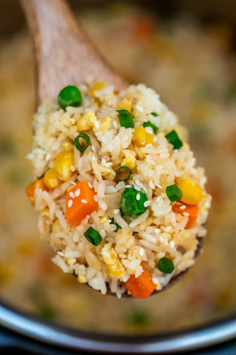 spoonful of Instant Pot Fried Rice