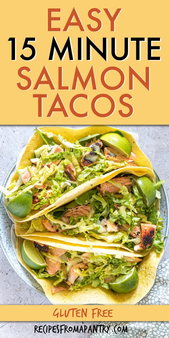 15 Minutes Salmon Tacos - Recipes From A Pantry