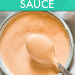 CLOSE UP OF SAUCE IN A BOWL WITH A SPOON