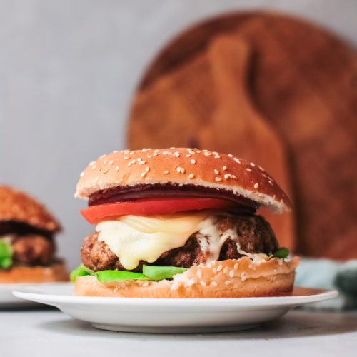 https://recipesfromapantry.com/wp-content/uploads/2020/10/air-fryer-turkey-burgers-0H4A0980-500x500.jpg