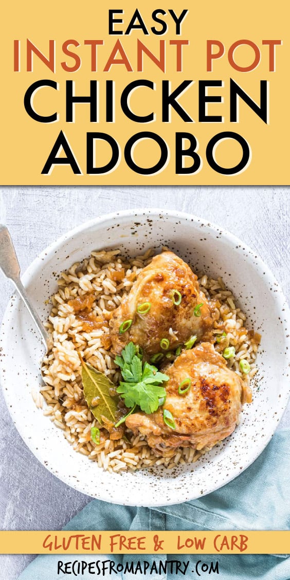 CHICKEN ADOBO OVER RICE IN A BOWL