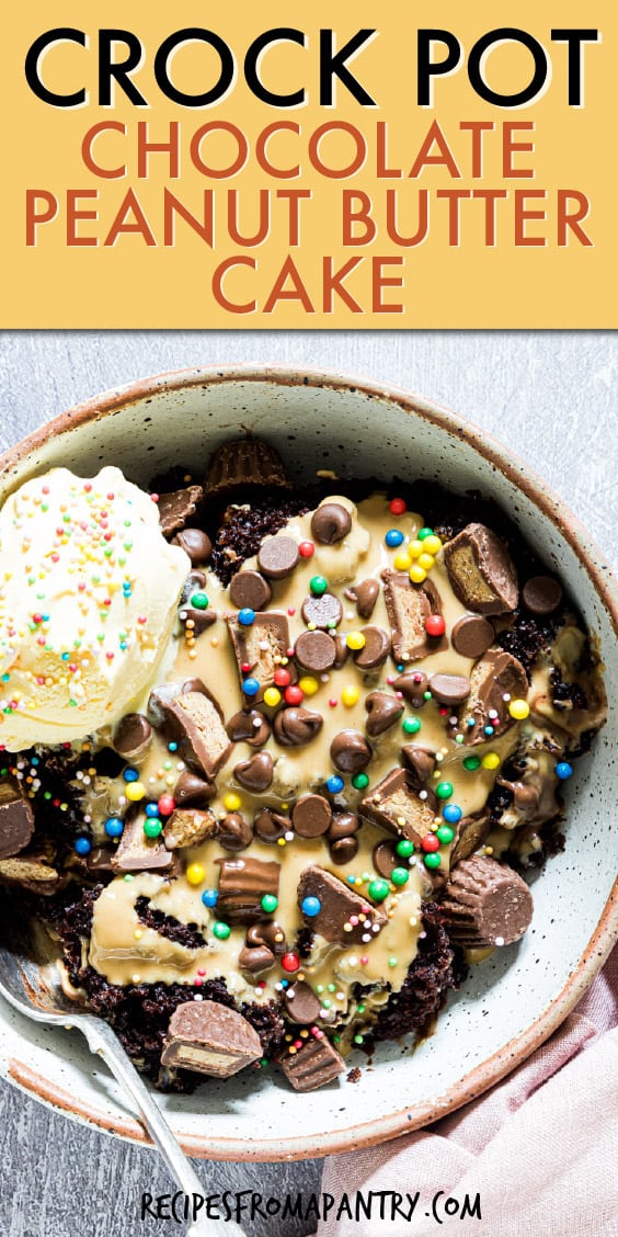 chocolate peanut butter cake in a bowl topped with ice cream