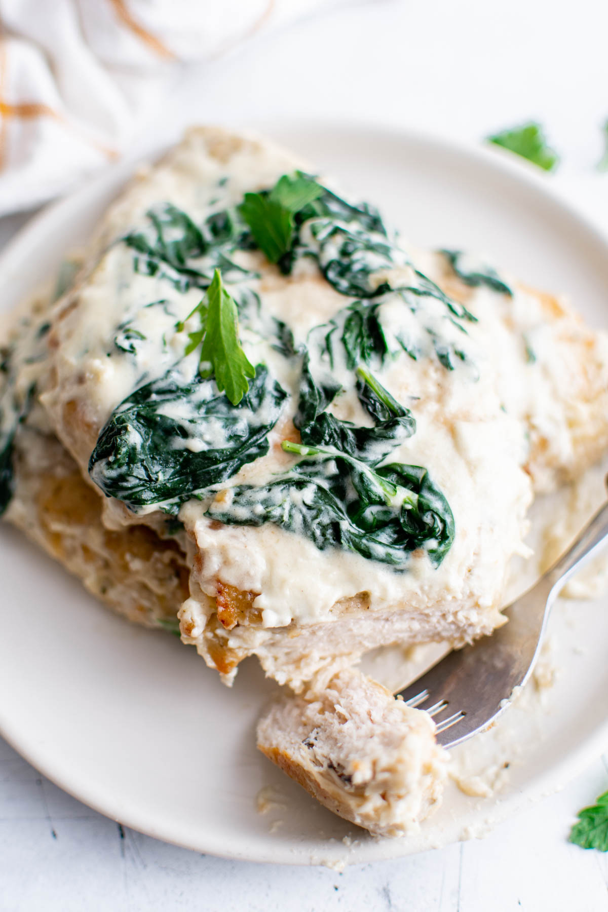 one portion of chicken florentine served on a white plate