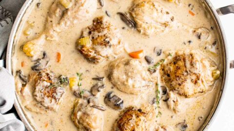 top down view of the completed chicken fricassee recipe