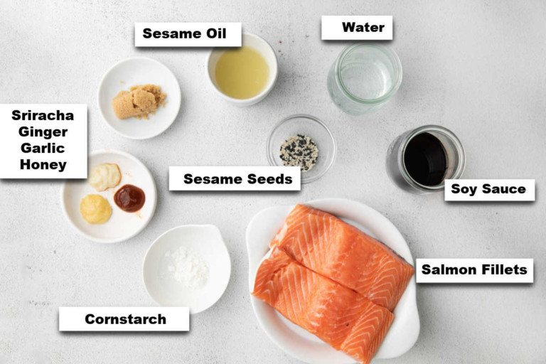 the ingredients needed for making this instant pot salmon teriyaki recipe.