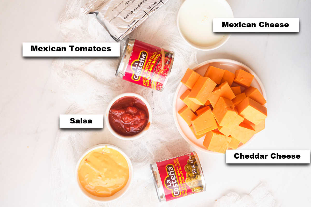 the ingredients needed for making air fryer mexican cheese dip