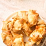 air fryer wontons served on a white plate