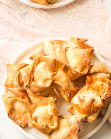 air fryer wontons served on a white plate