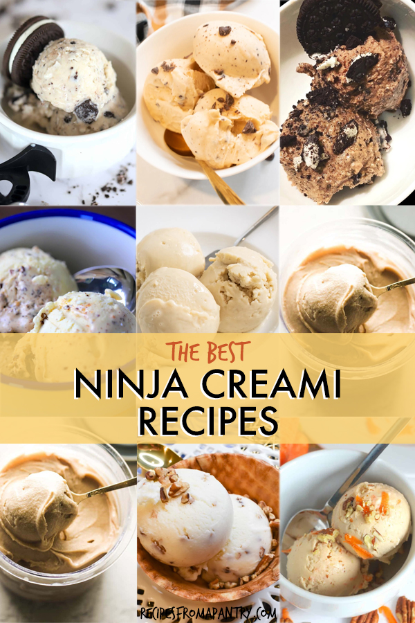 19 Ninja Creami Recipes