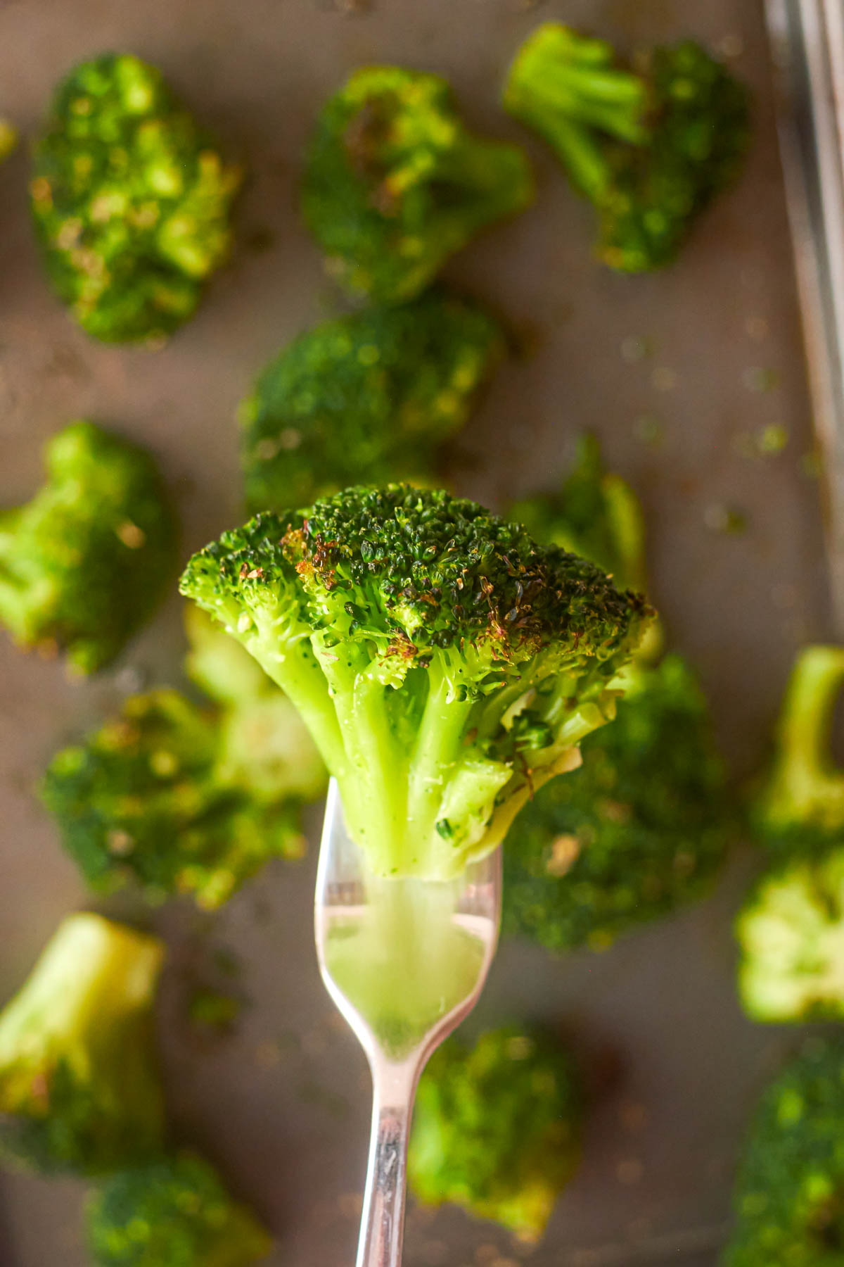 close up view of a floret being removed from a tray of roasted frozen broccoli