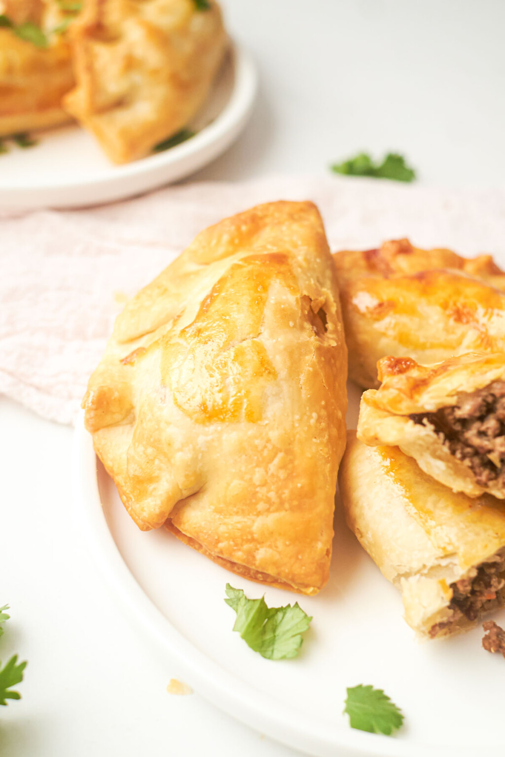 Frozen Empanadas In Air Fryer Recipes From A Pantry