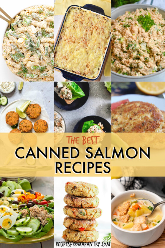 The 12 Best Canned Salmon Recipes - Recipes From A Pantry
