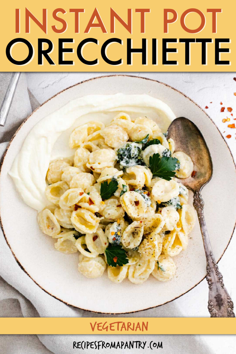 Orecchiette pasta in a bowl with a spoon