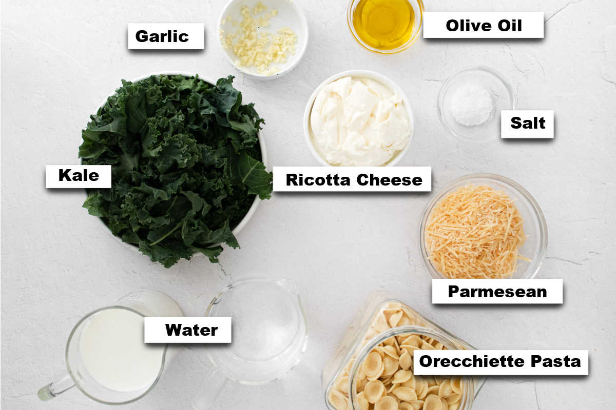 the ingredients needed to make instant pot orecchiette