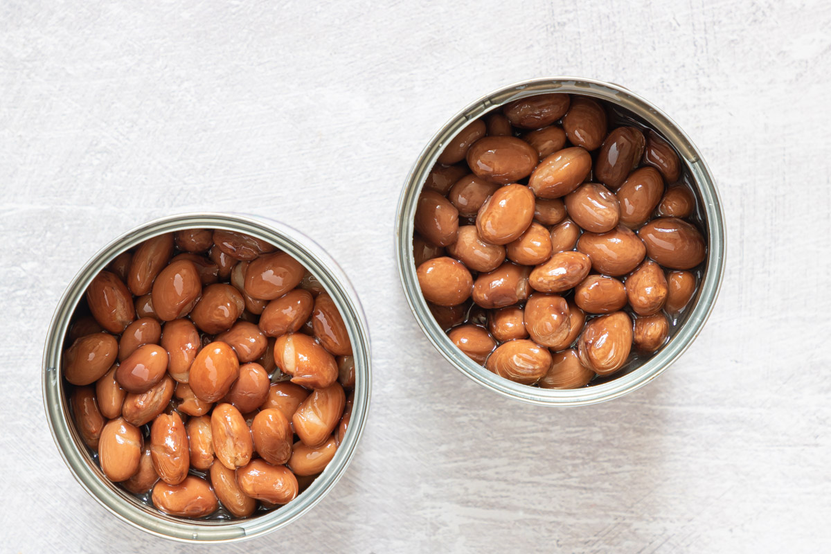 top down view of two cans of pinto beans
