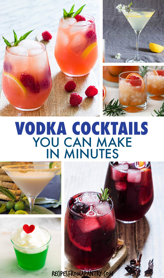 The Best Vodka Cocktails Recipes From A Pantry