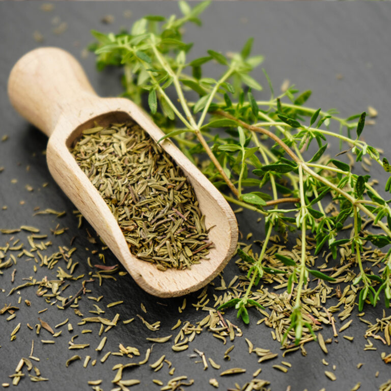 Dried lemon thyme in a wooden scoop with a sprig of fresh thyme beside it.
