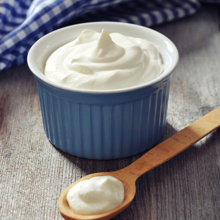Mayonnaise Substitute Recipes From A Pantry