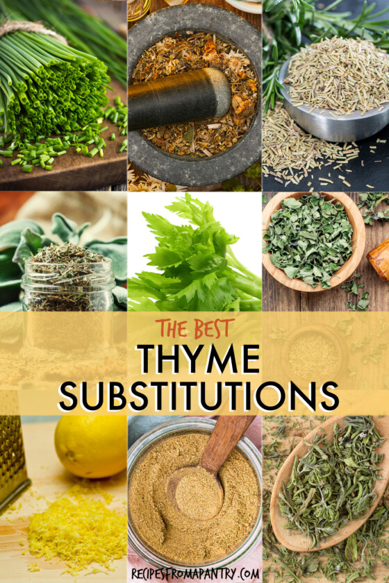 Thyme Substitutes Recipes From A Pantry