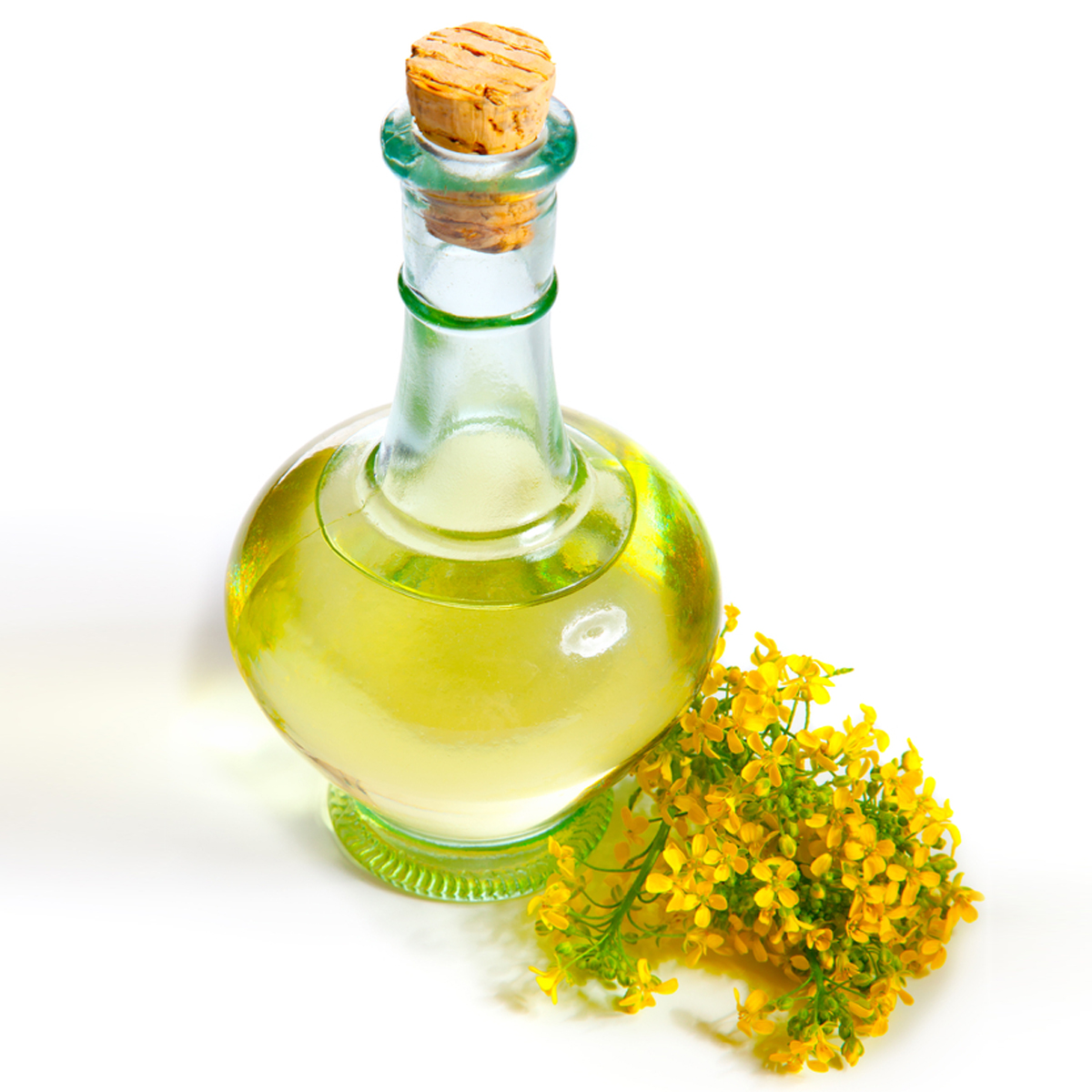 A bottle of canola oil with a sprig of canola flowers beside it.