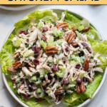 Cranberry chicken salad on a plate