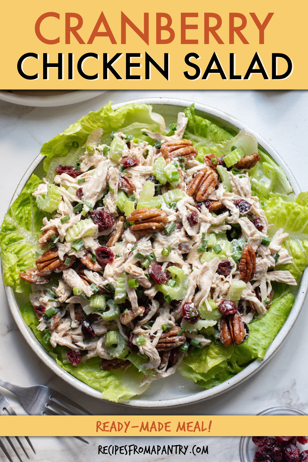 Cranberry Chicken Salad Recipes From A Pantry