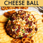 A cranberry pecan cheese ball on a serving plate surrounded by pretzels and crackers