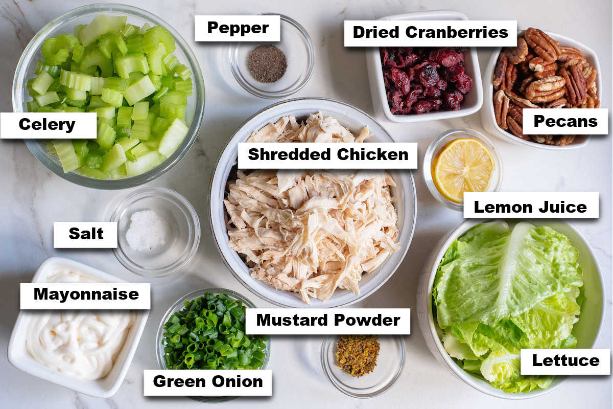 the ingredients needed to make this cranberry chicken salad recipe