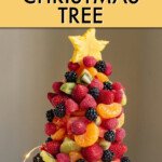 A small christmas tree made of berries and other pieces of fruit.