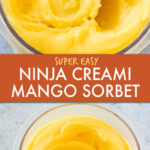 two images of Mango sorbet