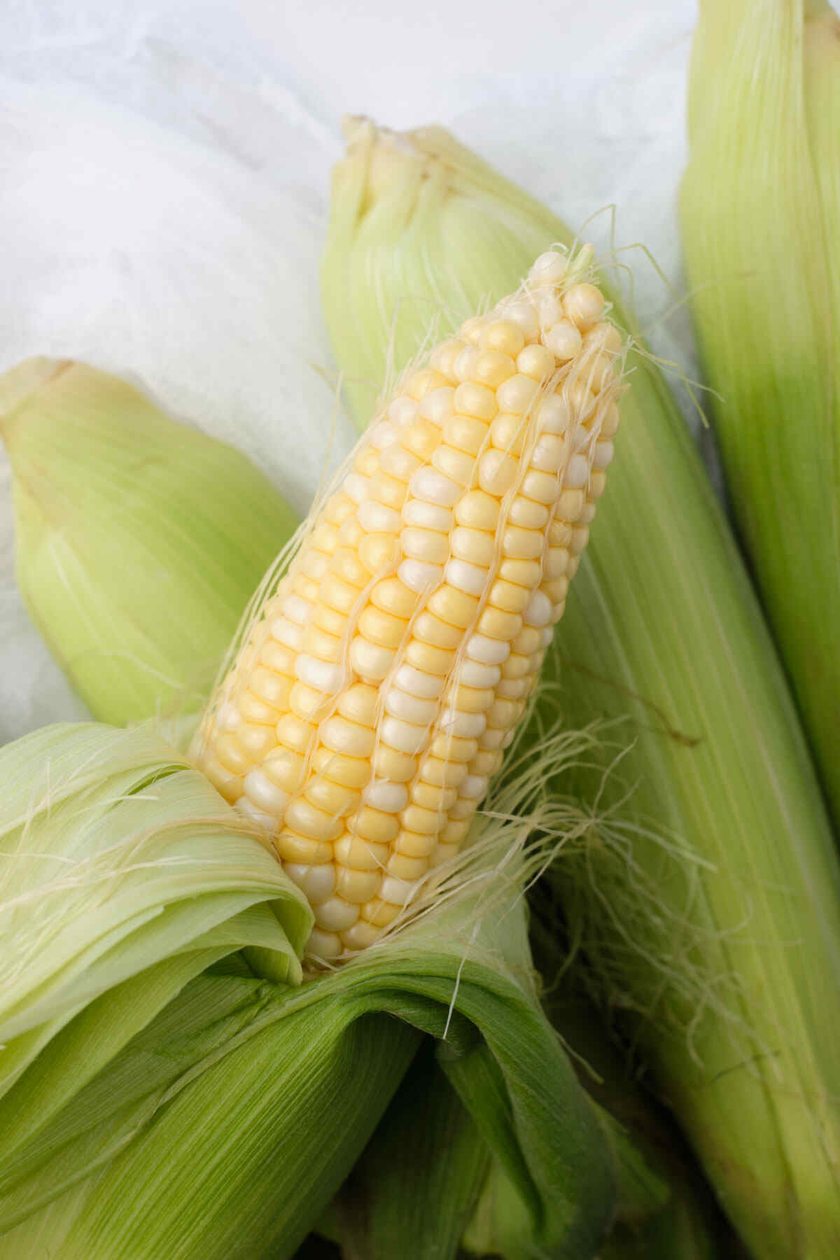 a single ear of corn with the husk peeled back.