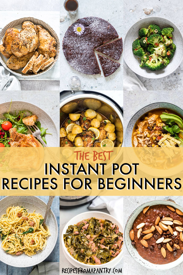 Best Instant Pot Recipes For Beginners