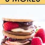 AIR FRYER & CAMPFIRE NUTELLA S'MORES