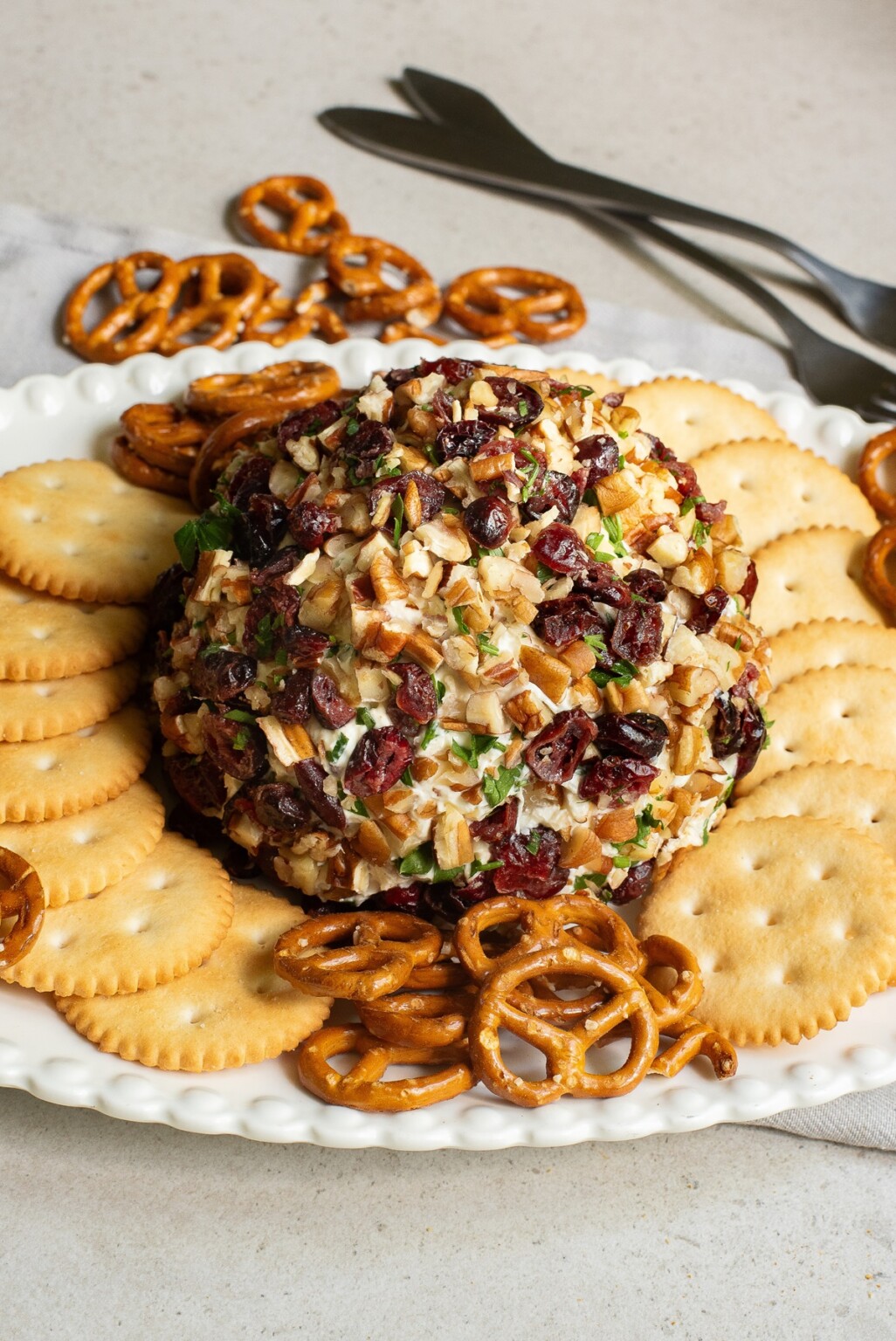Exclusive Cranberry Pecan Cheeseball 6438