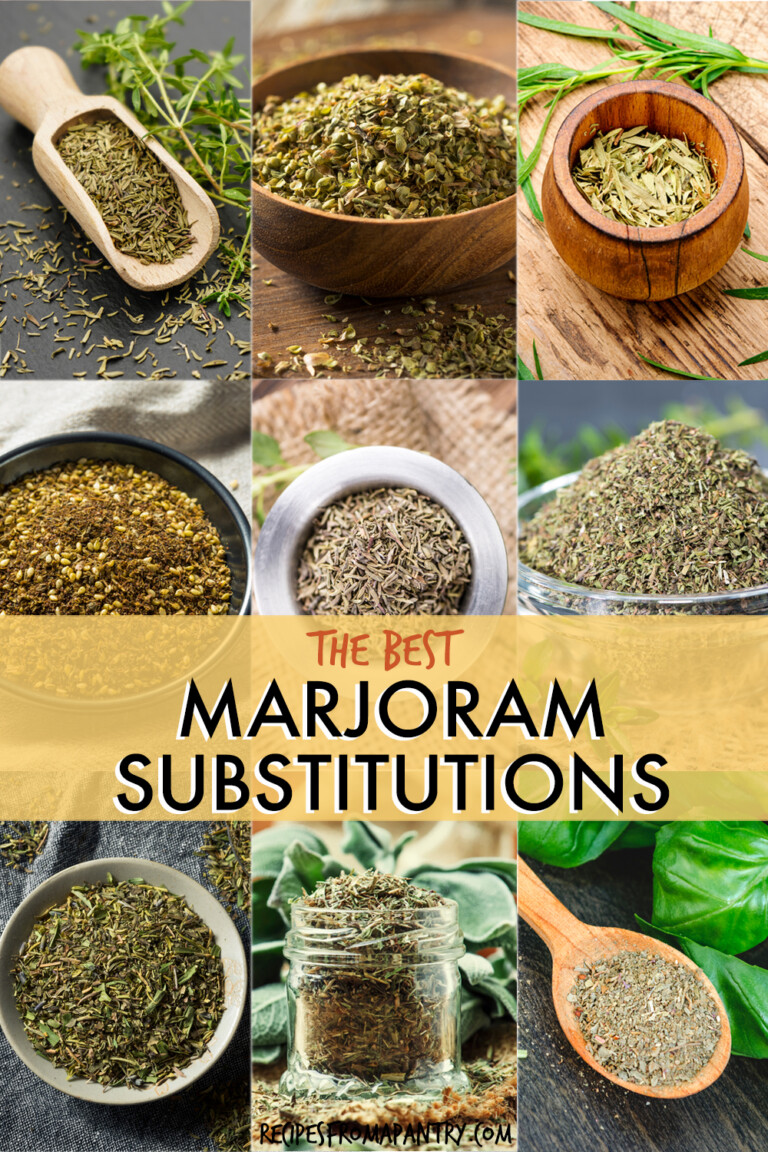 A collage of images of herbs that can be used to replace marjoram.