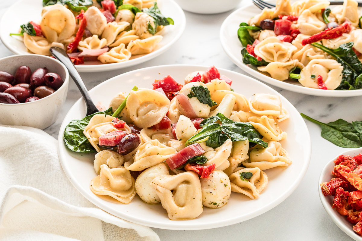Plate of tortellini pasta salad with mozzarella pearls, salami, spinach, olives, sun-dried tomatoes, and marinated artichoke hearts.