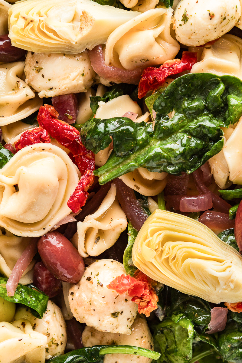 Close-up of tortellini pasta salad with mozzarella pearls, spinach, pickled red onions, olives, sun-dried tomatoes, and marinated artichoke hearts.