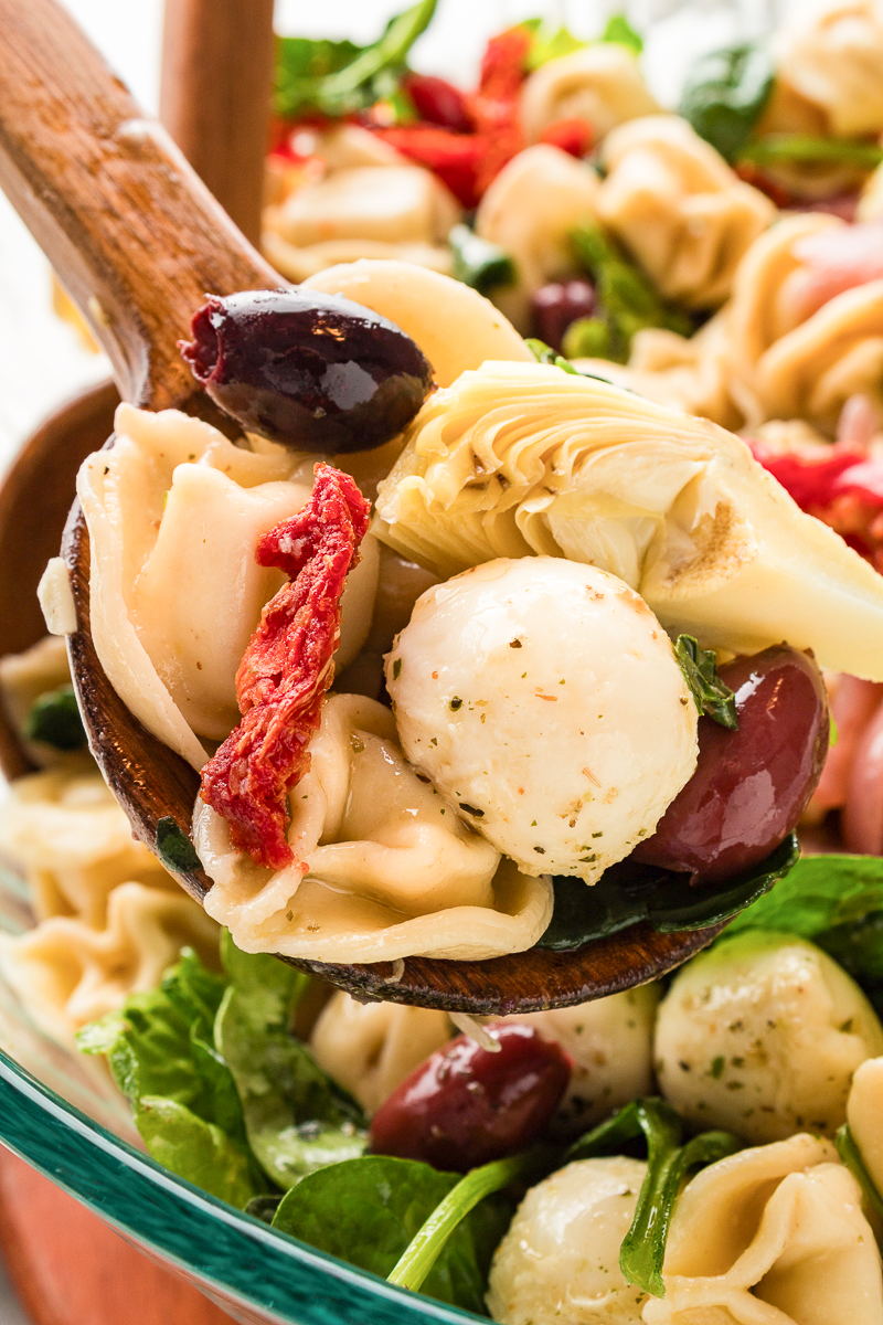 Close-up spoonful of tortellini pasta salad featuring cheese tortellini, mozzarella pearls, kalamata olives, spinach, sun-dried tomatoes, and artichoke hearts.